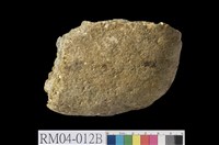 藏品(白雲母片麻岩)的圖片